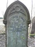 image of grave number 562113